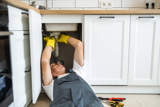 Best Same-Day Plumbing Service  in Mchenry, IL